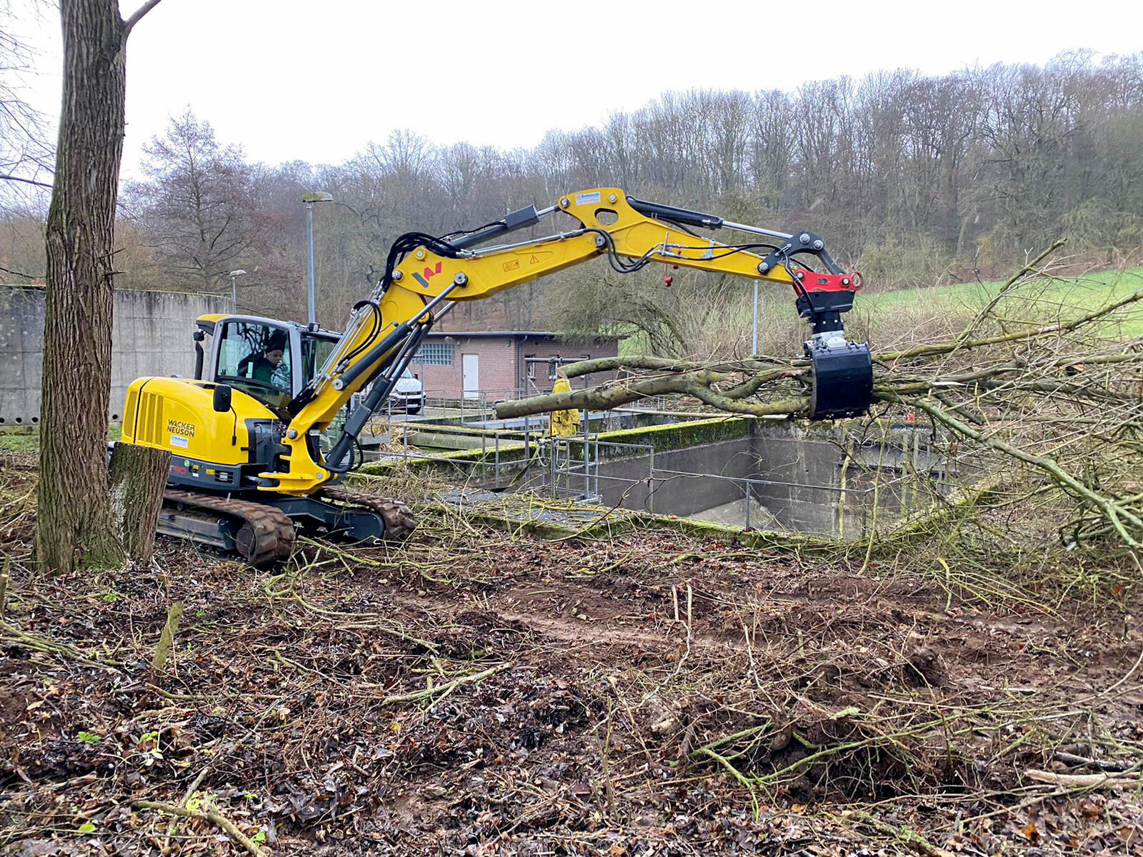 Kettenbagger Wacker Neuson ET90 mit Sortiergreifer DMS SG9050 im Einsatz bei Forst und Gartenbau Kuropka