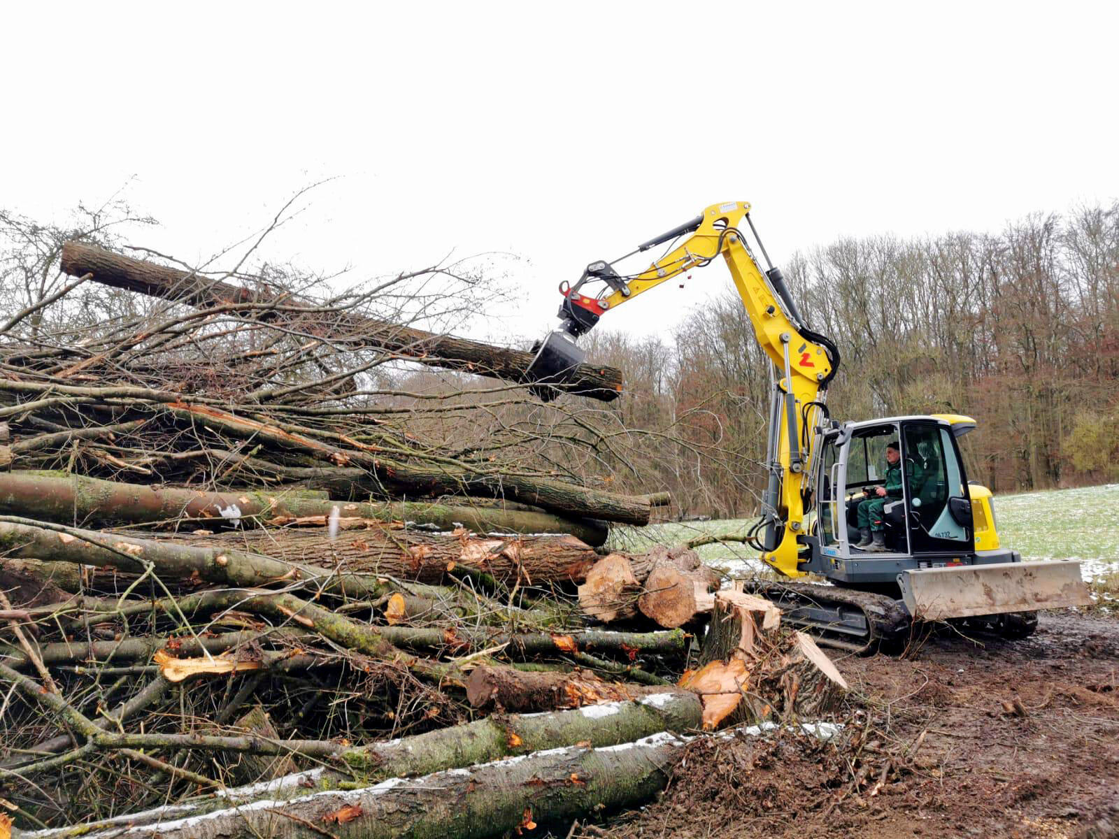 Kettenbagger Wacker Neuson ET90 mit Sortiergreifer DMS SG9050 im Einsatz bei Forst und Gartenbau Kuropka
